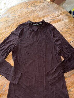SMARTWOOL Active long sleeve brown long sleeve crew with thumb holes/WXL